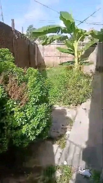 House with 4 bedrooms for sale in Buena Vista, Las Tunas - 2