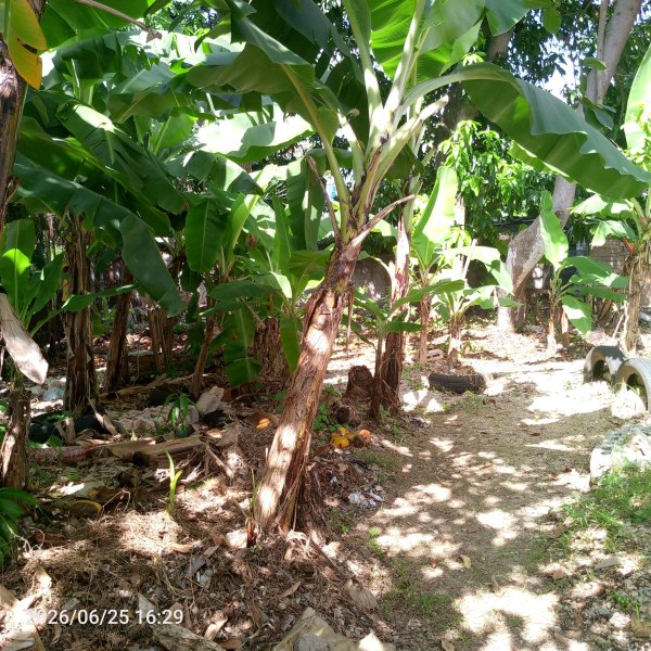House with 3 bedrooms for sale in Mantilla, Arroyo Naranjo, La Habana - 13