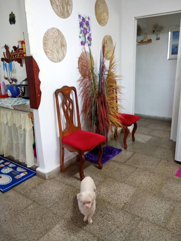 Apartment with 2 bedrooms for sale in Playa, La Habana
