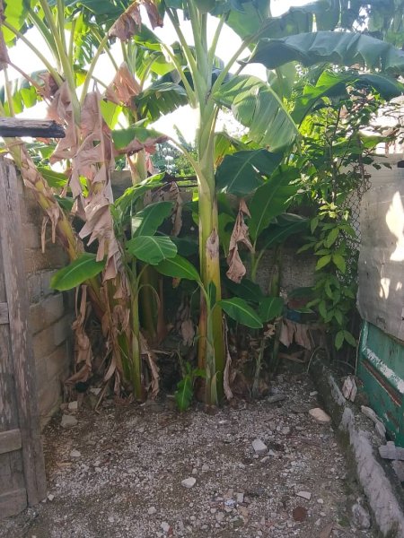Duplex with 2 bedrooms for sale in La Fraternidad, Arroyo Naranjo, La Habana - 14