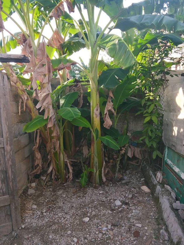 Biplanta de 2 habitaciones en venta en La Fraternidad, Arroyo Naranjo, La Habana