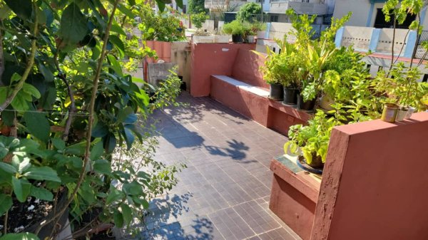 Detached House with 4 bedrooms for sale in Vedado - Malecón, Plaza de la Revolución, La Habana - 14