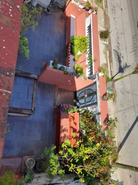 Detached House with 4 bedrooms for sale in Vedado - Malecón, Plaza de la Revolución, La Habana - 8