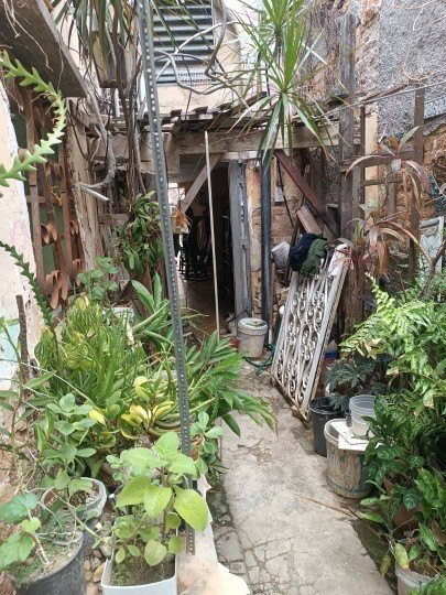 Casa de 5 habitaciones en venta en Diez de Octubre, La Habana - 14