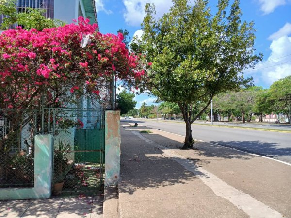 Detached House with 2 bedrooms for sale in La Ceiba - Kholy, Playa, La Habana - 5