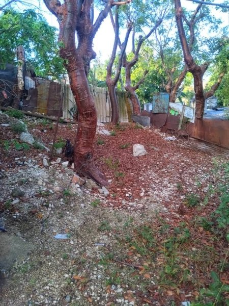Detached House with 4 bedrooms for sale in DBeche, Guanabacoa, La Habana - 10