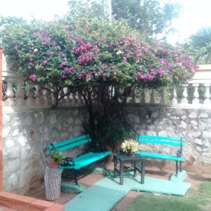 Casa Independiente de 3 habitaciones en venta en Guanabo, Habana del Este, La Habana - Miniatura 19