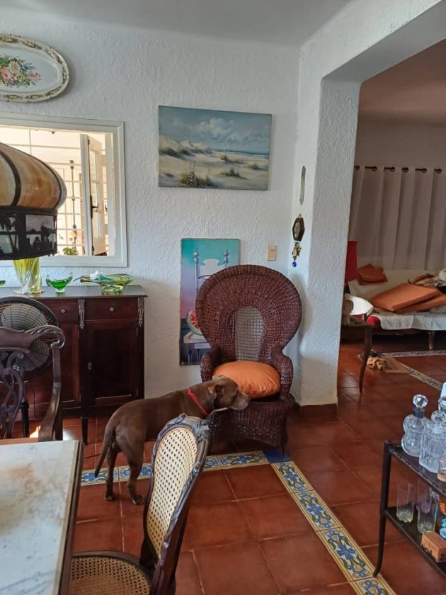 Detached House with 2 bedrooms for sale in Ampliación Almendares, Playa, La Habana