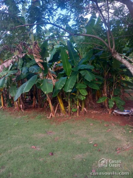 Country House with 4 bedrooms for sale in Santiago de las Vegas, Boyeros, La Habana - 3