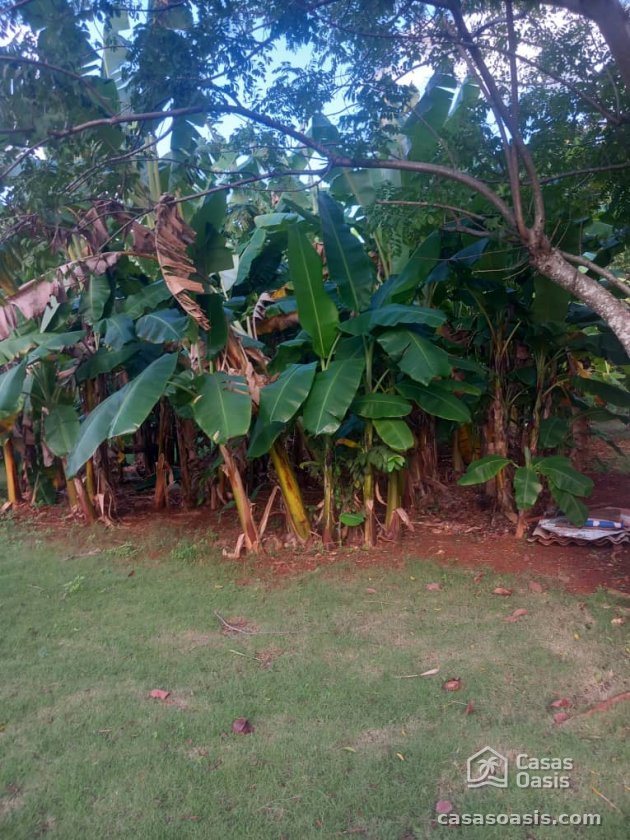 Country House with 4 bedrooms for sale in Santiago de las Vegas, Boyeros, La Habana