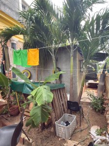Casa Independiente de 3 habitaciones en venta en Vedado, Plaza de la Revolución, La Habana - Miniatura 6