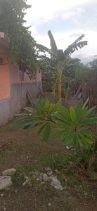 Casa Independiente de 3 habitaciones en venta en Centro, Guantánamo - Miniatura 9