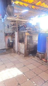 Casa de 3 habitaciones en venta en La Caridad, Cotorro, La Habana - Miniatura 14