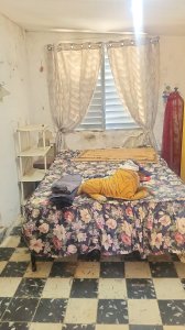 Casa de 3 habitaciones en venta en La Caridad, Cotorro, La Habana - Miniatura 15