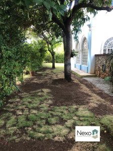 Casa Colonial de 4 habitaciones en venta en Miramar, Playa, La Habana - Miniatura 18