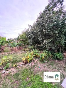 Casa Independiente de 4 habitaciones en venta en Playa, La Habana - Miniatura 17