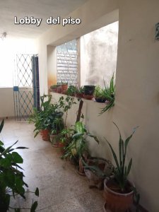 Apartamento de 2 habitaciones en venta en Vedado, Plaza de la Revolución, La Habana - Miniatura 2