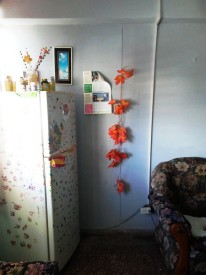 Apartamento de 2 habitaciones en venta en Vedado, Plaza de la Revolución, La Habana - 9