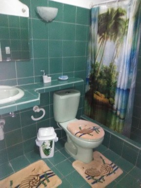 Duplex with 3 bedrooms for sale in Vedado, Plaza de la Revolución, La Habana