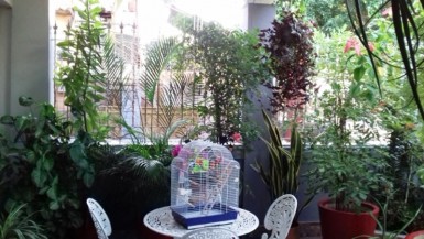 Biplanta de 1 habitación en venta en Vedado, Plaza de la Revolución, La Habana