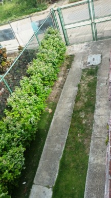 Duplex with 4 bedrooms for sale in Versalles - Coronela, La Lisa, La Habana