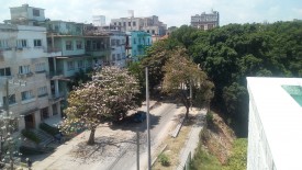 Apartamento de 3 habitaciones en venta en Vedado, Plaza de la Revolución, La Habana - 4