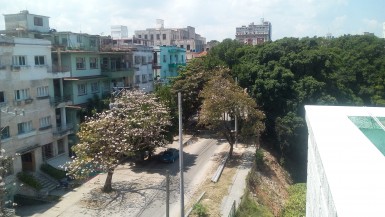Apartamento de 3 habitaciones en venta en Vedado, Plaza de la Revolución, La Habana