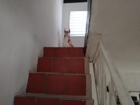 Apartment with 2 bedrooms for sale in Vedado, Plaza de la Revolución, La Habana - Thumbnail 17