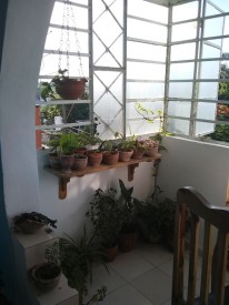 Apartment with 3 bedrooms for sale in Víbora Park, Arroyo Naranjo, La Habana - 4