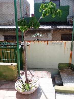 House with 3 bedrooms for sale in Las Cañas, Cerro, La Habana