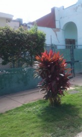 Detached House with 3 bedrooms for exchange in Ampliación Almendares, Playa, La Habana - 3