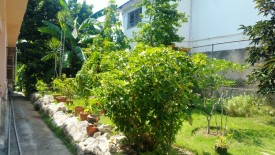 Casa de 3 habitaciones en venta en Nuevo Vedado, Plaza de la Revolución, La Habana - 6