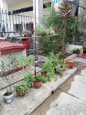 Casa de 3 habitaciones en venta en Vedado, Plaza de la Revolución, La Habana