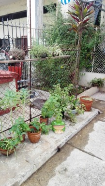Casa de 3 habitaciones en venta en Vedado, Plaza de la Revolución, La Habana