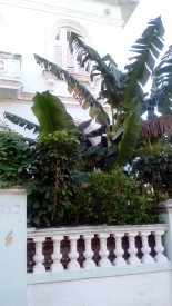 Apartamento de 1 habitación en venta en Vedado, Plaza de la Revolución, La Habana - 3