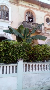 Apartamento de 1 habitación en venta en Vedado, Plaza de la Revolución, La Habana