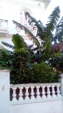 Apartamento de 1 habitación en venta en Vedado, Plaza de la Revolución, La Habana