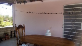 Duplex with 5 bedrooms for sale in Martí, Cerro, La Habana - 27