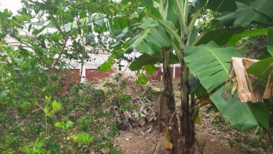 Detached House with 2 bedrooms for sale in Santa Fe, Playa, La Habana