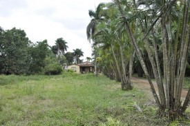 Casa de Campo de 5 habitaciones en venta en Caimito, Artemisa - Miniatura 8