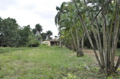 Casa de Campo de 5 habitaciones en venta en Caimito, Artemisa