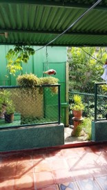 Detached House with 4 bedrooms for exchange in Jaimanitas, Playa, La Habana - 24