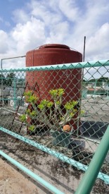 Detached House with 4 bedrooms for exchange in Jaimanitas, Playa, La Habana - 26