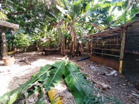 Casa de Campo de 2 habitaciones en venta en Las Cañas, Cerro, La Habana - 16
