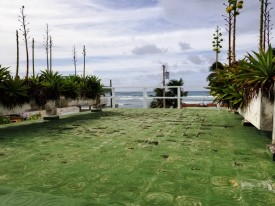 Detached House with 4 bedrooms for exchange in Jaimanitas, Playa, La Habana - 8