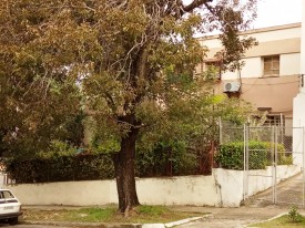 Casa Independiente de 5 habitaciones en venta en Vedado, Plaza de la Revolución, La Habana - 4