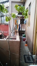 Casa Colonial de 3 habitaciones en venta en Los Sitios, Centro Habana, La Habana - 12