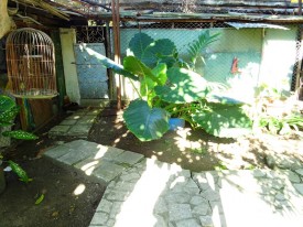Casa de 7 habitaciones en venta en Ampliación de San Matías, San Miguel del Padrón, La Habana - 11