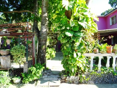 Casa de 7 habitaciones en venta en Ampliación de San Matías, San Miguel del Padrón, La Habana
