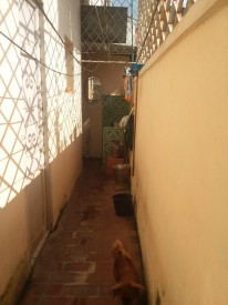 Apartamento de 2 habitaciones en venta en Lawton, Diez de Octubre, La Habana - Miniatura 15